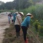 Cán bộ và nhân dân xã Phùng Minh làm vệ sinh môi trường